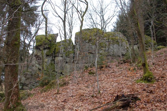 Gros rocher au cœur d’une forêt située sur les hauteurs de Stavelot.
