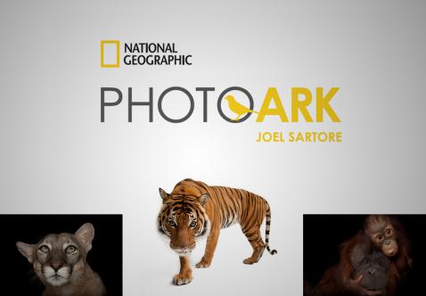 National Geographic - Photoark Joel Sartore