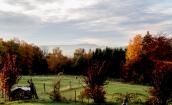 OTH-A0-0038-1383.jpg